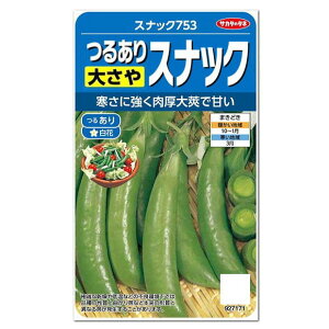 TJ^̃^l 邠傳XibN XibN753  q  ƒ؉ ʂ ǂ GhẼ^l