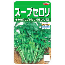 サカタのタネ スープセロリ 種 家庭菜園 芹菜 タネ 野菜 せろり たね 種子