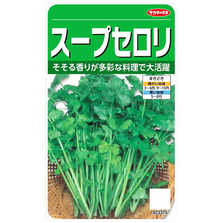 楽天市場 サカタのタネ スープセロリ 種 家庭菜園 芹菜 タネ 野菜 せろり たね 種子 ガーデニングと雑貨の菜園ライフ