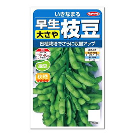 サカタのタネ 早生大さや枝豆 いきなまる 早生種 種 生産地：北海道 えだまめ 家庭菜園 プランター栽培 エダマメ タネ たね 種子
