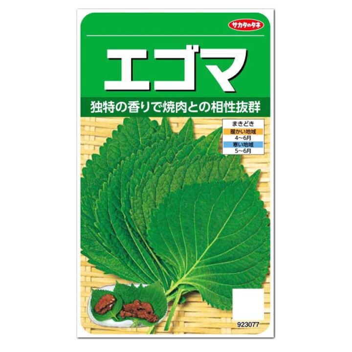 楽天市場 サカタのタネ エゴマ 種 一年草 家庭菜園 えごまのタネ ジュウネン たね しそ Perilla ペリラ 韓国料理 プランター栽培 ガーデニングと雑貨の菜園ライフ