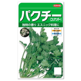 サカタのタネ ハーブ パクチー コリアンダー 種 パクチーのたね 家庭菜園 パクチー コリアンダーのタネ たね 種子 料理用 ハーブ HERB シャンツァイ コエンドロ