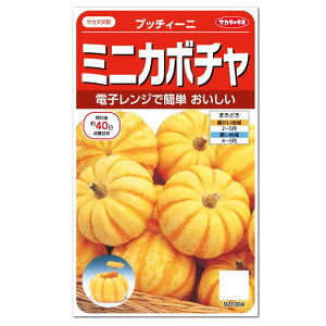種 かぼちゃの人気商品 通販 価格比較 価格 Com 種 かぼちゃの人気商品 通販 価格比較 価格 Com
