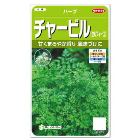 サカタのタネ チャービル ハーブ 種 一年草 家庭菜園 料理用 チャービルのタネ たね 種子 HERB セルフィーユ フィーヌゼルブ leaf chervil