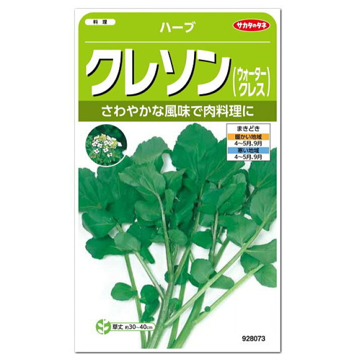 楽天市場 サカタのタネ ハーブ クレソン ウォータークレス 種 多年草 家庭菜園 料理用 クレソンのタネ たね 種子 Herb 健康草 緑黄色野菜 オランダガラシ ミズガラシ ガーデニングと雑貨の菜園ライフ
