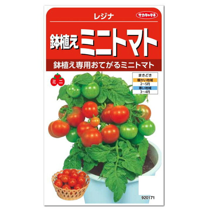 楽天市場 サカタのタネ 鉢植えミニトマト レジナ 種プランター栽培 家庭菜園 トマト タネ とまと たね ジュース レシピ 種子 緑黄色野菜 健康野菜 夏野菜 ガーデニングと雑貨の菜園ライフ