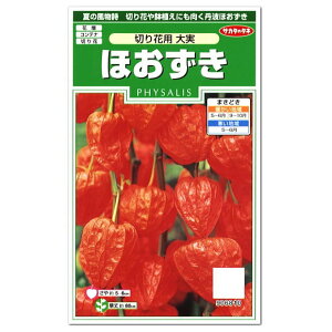 多年草 切花の人気商品 通販 価格比較 価格 Com