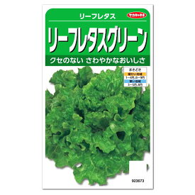 サカタのタネ リーフレタスグリーン 種 家庭菜園 野菜 簡単 サラダ 葉チシャ レタス レシピ タネ たね プランター栽培