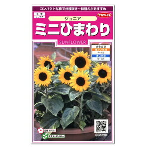 ひまわり 花壇 種の人気商品 通販 価格比較 価格 Com ひまわり 花壇 種の人気商品 通販 価格比較 価格 Com