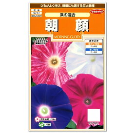 楽天市場 グリーンカーテン 種の通販