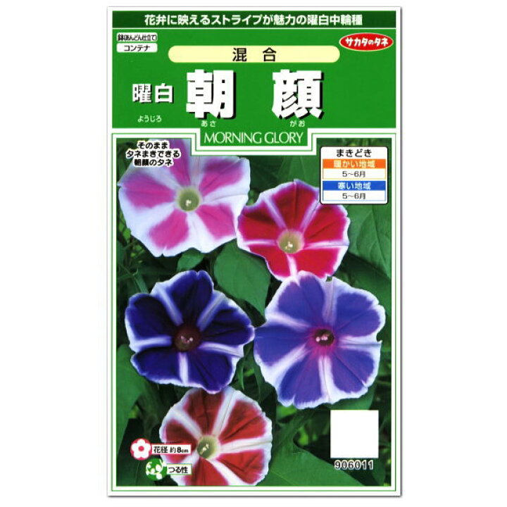 楽天市場 サカタのタネ 曜白 朝顔 混合 中輪種 種 つる性 朝顔 かわいい アサガオ たね 種子 あさがお グリーンカーテン 緑のカーテン ガーデニングと雑貨の菜園ライフ