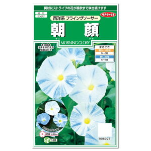 朝顔 種の人気商品 通販 価格比較 価格 Com