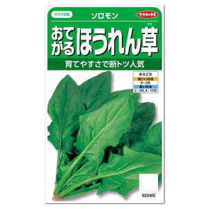 TJ^̃^l Ă ق \  ƒ؉ v^[͔| @@ H܂ ق񂻂  zE\Ẽ^l