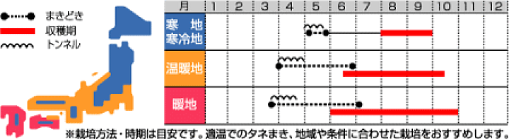 楽天市場】サカタのタネ 五角オクラ グリーンスター 種 家庭菜園 楽天市場】サカタのタネ 五角オクラ グリーンスター 種 家庭菜園
