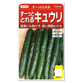 サカタのタネ ずーっととれるキュウリ 種 家庭菜園 胡瓜 きゅうりのタネ たね 種子 夏野菜