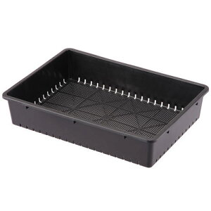 AbvEFA[ c 51^ 10L c ܂ | g[ ƒ؉