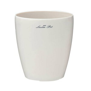 AbvEFA[ X^[|bg 185^ zCg (CeA ƒ؉ K[fjO  핗 Jo[ Aؔ v^[ |bgj