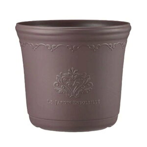 AbvEFA[ ZV|bg 29^ AbVuE (CeA ƒ؉ K[fjO  핗 Aؔ v^[ |bg v[g Mj