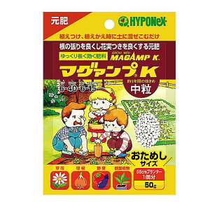 nC|lbNX }O@vK  50g 엿 | K[fjO v^[   }Kv