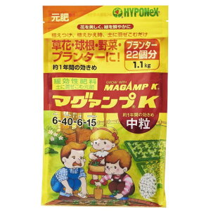 nC|lbNX }O@vK  1.1kg 엿 | K[fjO v^[   }Kv