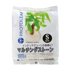 vg[t@}`OXg[ STCY@1kgiK[fjO |p py ύj