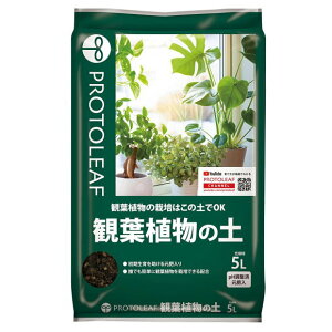 vg[t ϗtA̓y 5bg |{y ppy | K[fjO