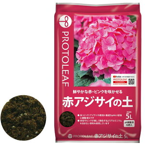 vg[t ԃAWTC̓y 5bg |{y  py | K[fjO SҌ z