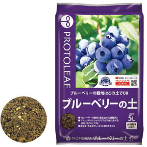 vg[t u[x[̓y 5bg |{y ppy | K[fjO