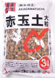 ԋʓy 嗱 3bg ƒ؉ | K[fjO  yǍ