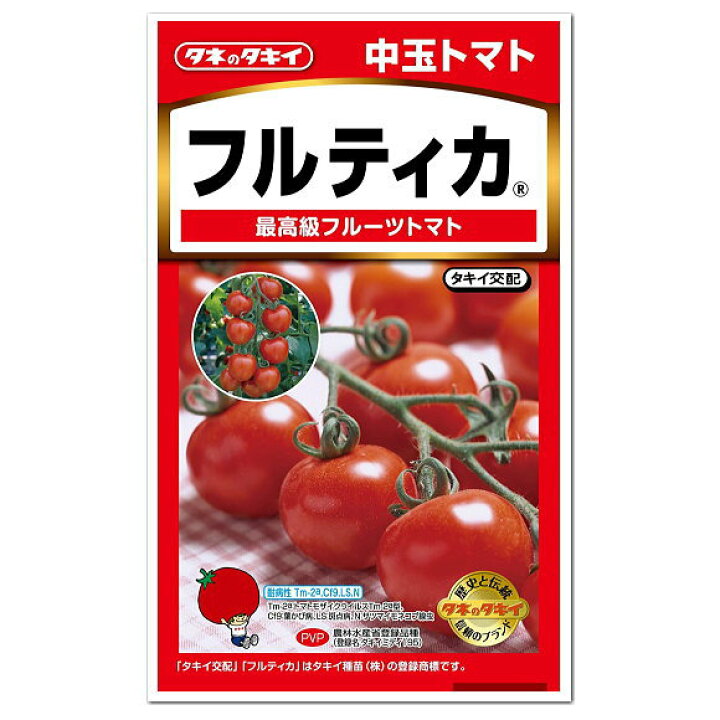 中玉トマト 種 1 000粒 野菜 野菜種子 野菜種