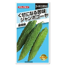 タキイ ジャンボゴーヤ 寿限無 ゴーヤ AZU154 ニガウリ 種 家庭菜園 エアコン 節電対策 省エネ エコ グリーンカーテン 緑のカーテン ごーや ゴーヤーのタネ たね 種子 自由研究 夏野菜