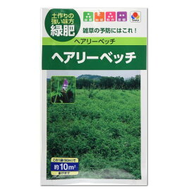 タキイ ヘアリーベッチ ナモイ 種 BMA512 緑肥 景観用 花壇 たね タネ 種子 園芸 ガーデニング