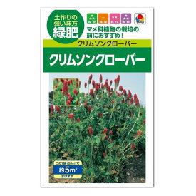 タキイ クリムソンクローバー ディクシー 種 BCL831 緑肥 景観用 花壇 たね タネ 種子 園芸 ガーデニング