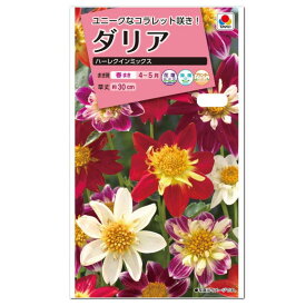 タキイ ダリア ハーレクイン ミックス FDR150 種 種子 花 植物 タネ たね 花壇 プランター 鉢植え 草花 切り花 切花 テンジクボタン