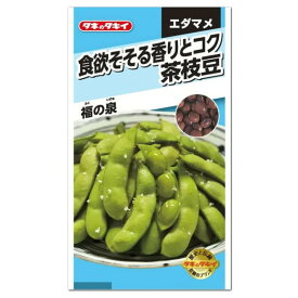 タキイ 茶枝豆 福の泉 種 AED159 家庭菜園 プランター栽培 簡単 枝豆のタネ 野菜 たね 種子 エダマメ えだまめ