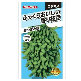 タキイ 枝豆 おつまみ娘 種 AED162 家庭菜園 プランター栽培 簡単 枝豆のタネ 野菜 たね 種子 エダマメ えだまめ