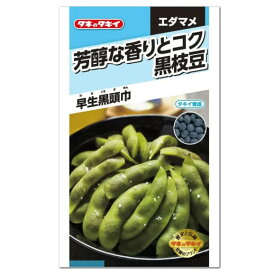 タキイ 黒枝豆 早生黒頭巾 種 AED161 家庭菜園 プランター栽培 簡単 枝豆のタネ 野菜 たね 種子 エダマメ えだまめ