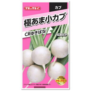 ^LCc ɂ܏Ju CR䂫΂  AKA059 ƒ؉ Jũ^l    q