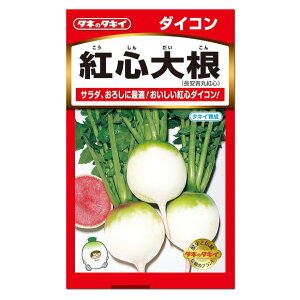 ^LCc gS卪  520 ADA291 ƒ؉ _CR̃^l    q