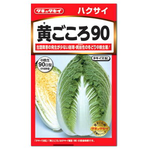 ^LCc 90  Ӑ90  AHA021ƒ؉ v^[͔|  ͂ nNTC̃^l 