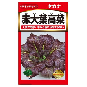 ^LCc ԑt q 1100 H܂ ^Ji  JVi  ƒ؉  ͔| ؒЂ ^Ji Ȃ̃^l