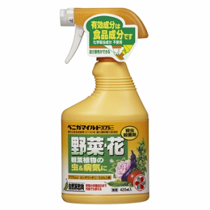 ZFw| xjJ}ChXv[ 420ml | K[fjO EEۍ aQ΍