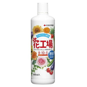 ZFw| ԍHꌴt 800ml t̔엿   ϗtA K[fjO