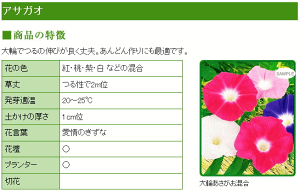 楽天市場 大人気 トーホク 大輪あさがお 混合 種 花壇 プランター 朝顔 エコ アサガオのたね 種子 グリーンカーテン 緑のカーテン 大輪朝顔 小学校 教材 花 ガーデニングと雑貨の菜園ライフ