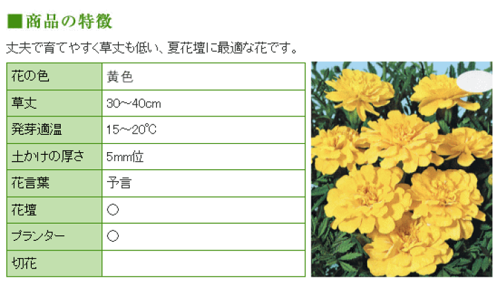 楽天市場 トーホク フレンチ系 マリーゴールド 黄 種 花壇 プランター 寄せ植え 草花 たね コンパニオンプランツ ガーデニング ガーデニングと雑貨の菜園ライフ