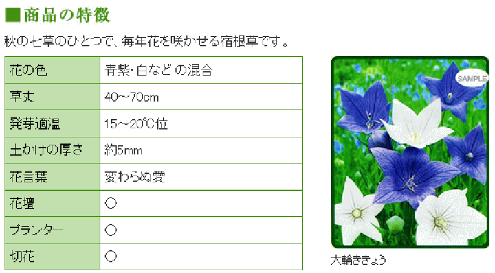 楽天市場 トーホク 大輪ききょう 種 花壇 プランター 切花 キキョウ 桔梗 たね 種子 タネ バルーン フラワー ガーデニングと雑貨の菜園ライフ