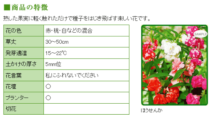 楽天市場 トーホク ほうせんか 種 花壇 プランター たね ガーデニング ガーデニングと雑貨の菜園ライフ