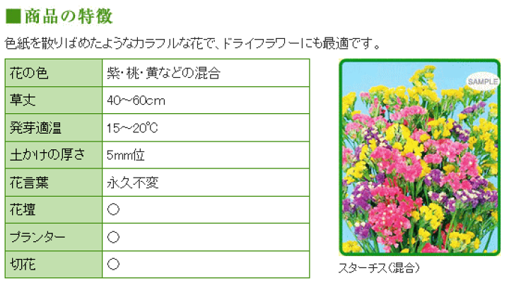 円 最新作 種子 処分 スターチス シヌアータ 混合 カネコ種苗 22 04 生花やドライフラワー 円 最新作 種子 処分 スターチス シヌアータ 混合 カネコ種苗 22 04 生花やドライフラワー