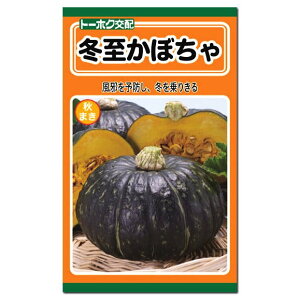 種 かぼちゃの人気商品 通販 価格比較 価格 Com