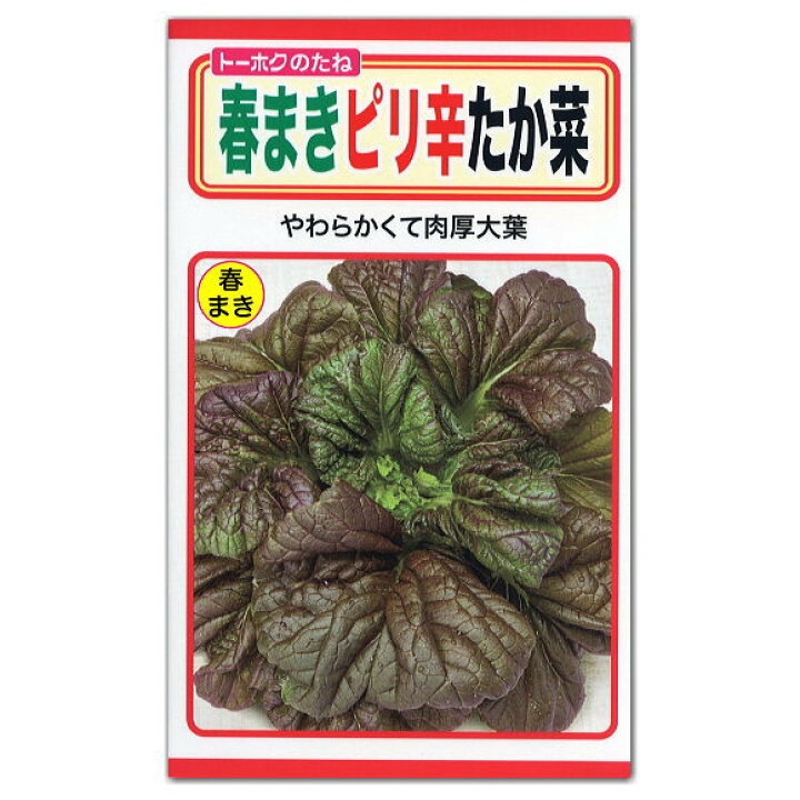 楽天市場 トーホク 春まきピリ辛たか菜 種 家庭菜園 ツケナ 高菜 タカナ たかな タネ たね 種子 ガーデニングと雑貨の菜園ライフ 楽天市場 トーホク 春まきピリ辛たか菜 種 家庭菜園 ツケナ 高菜 タカナ たかな タネ たね 種子 ガーデニングと雑貨の菜園ライフ